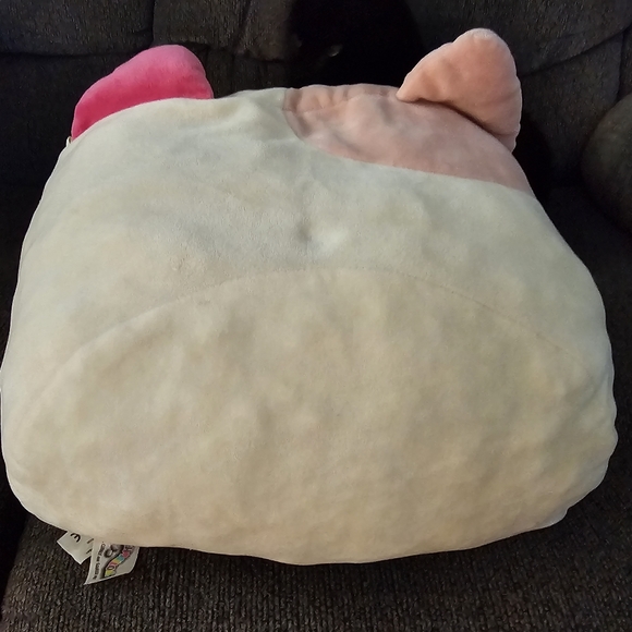 π¦3 for $25π¦Cat squishmallow - Picture 2 of 3
